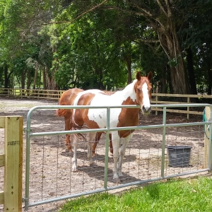 Xtreme Fence Completed Fence Installation Project In South Florida
