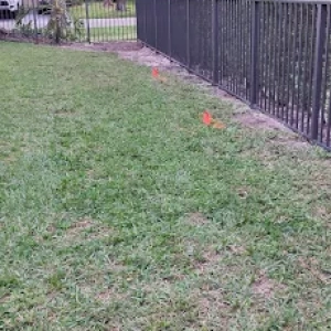 Xtreme Fence Completed Fence Installation Project In South Florida